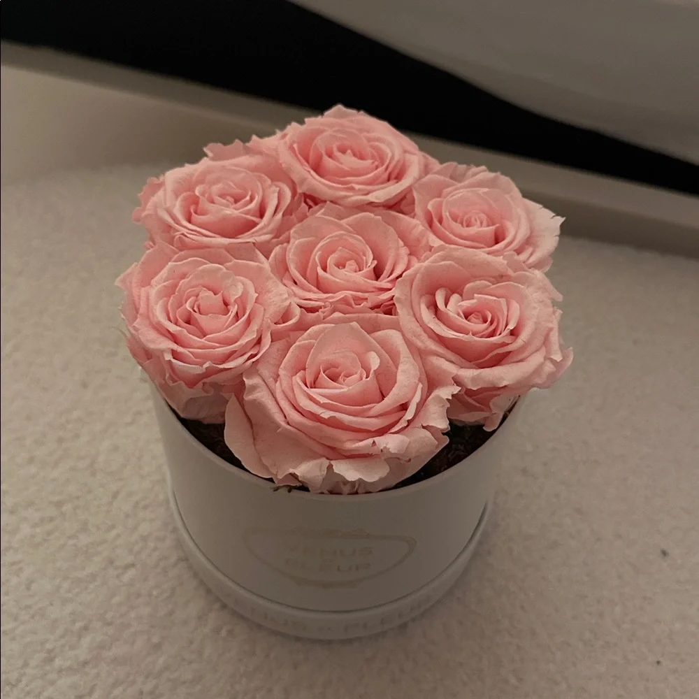 Venus et Fleur Pink Rose Arrangement - Picture 2 of 3